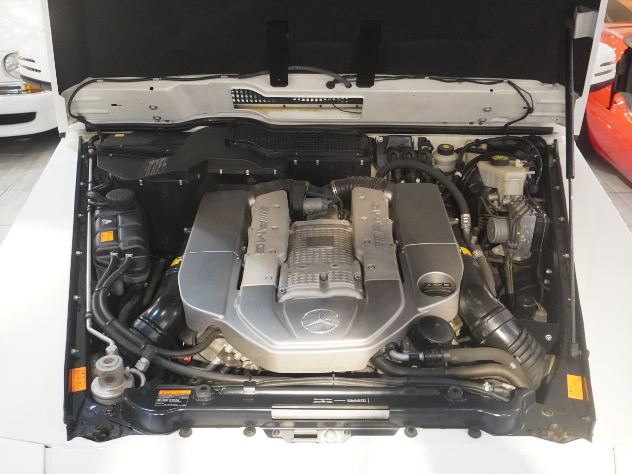おすすめのG55をご紹介です！