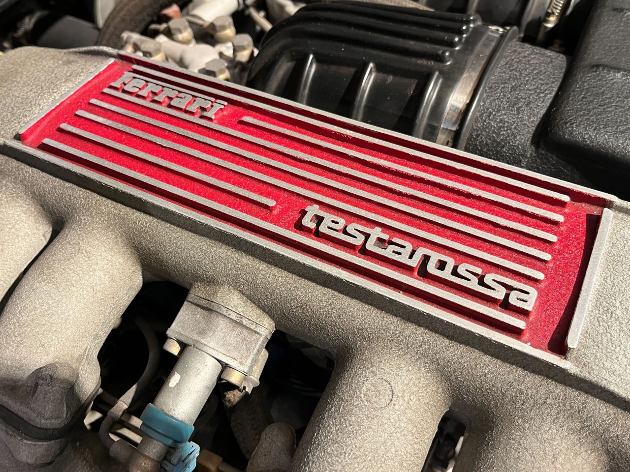 超希少な跳ね馬、入庫しました。