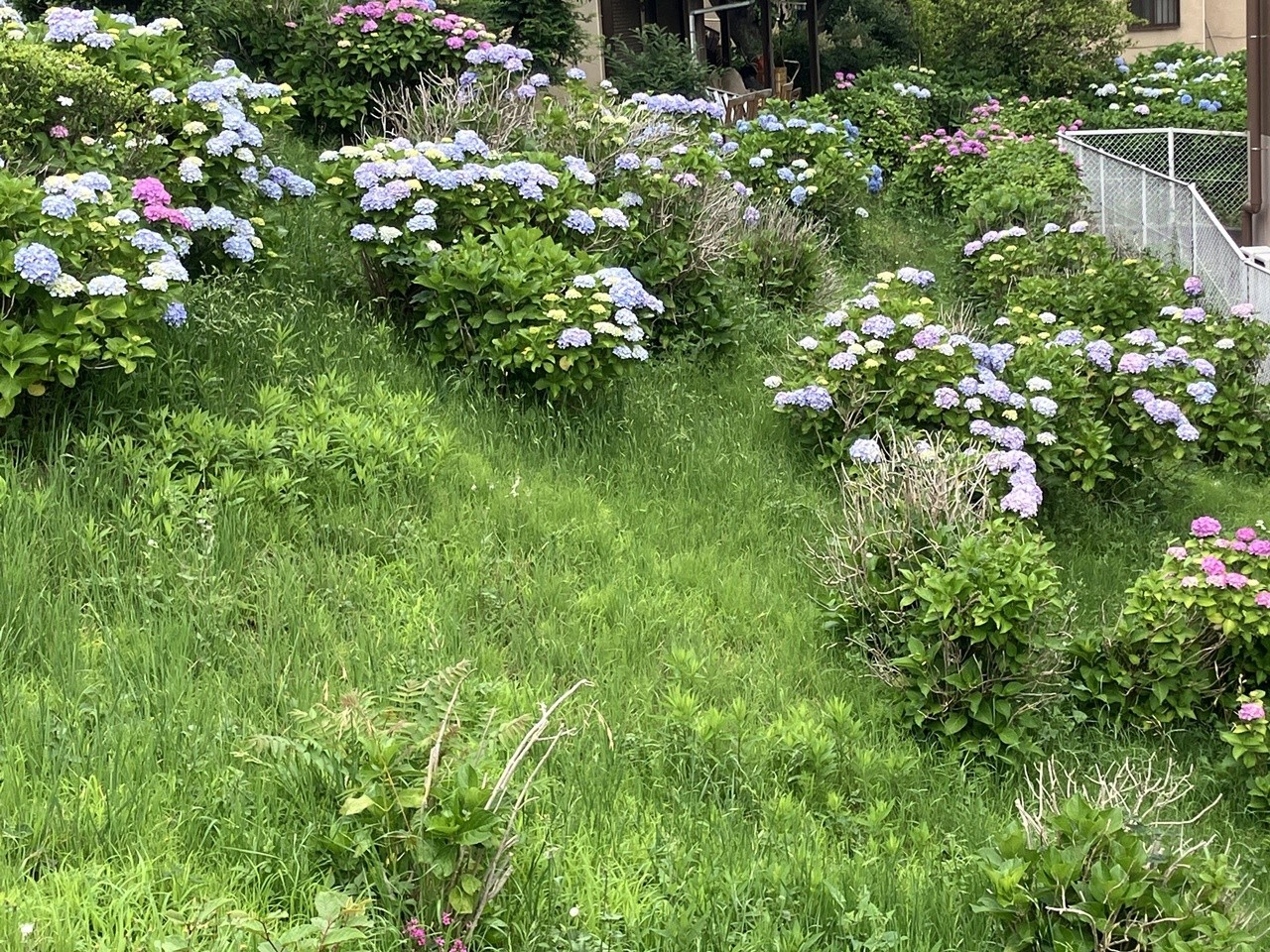 夏は目前です！