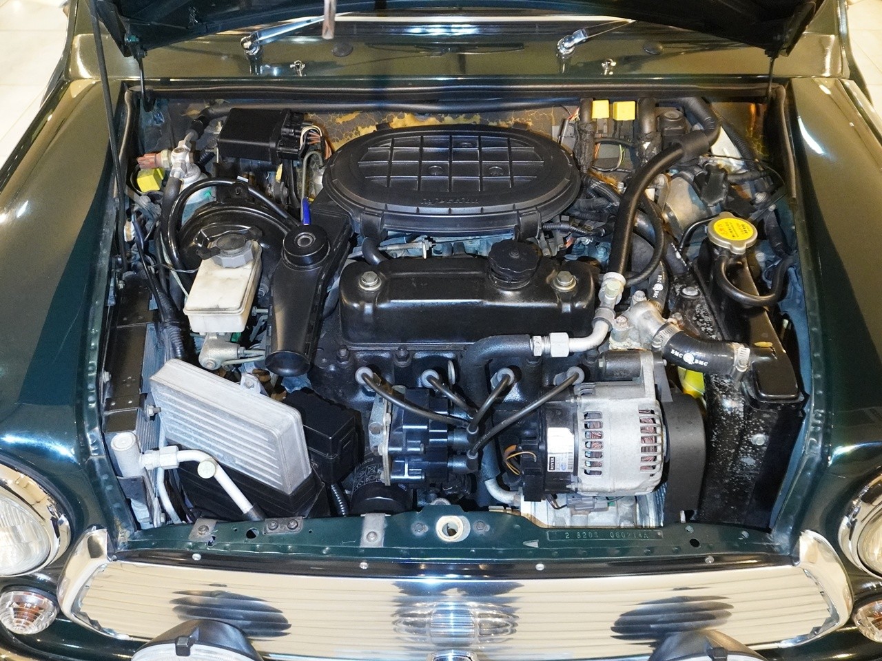 ローバー　ミニ